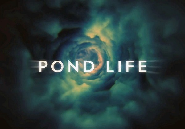 Pond Life -- Screen Captures